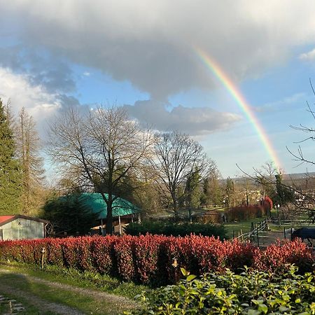 Bilocale In The Farm- Malpensa-Lago Maggiore 瓦拉洛蓬比亚 外观 照片