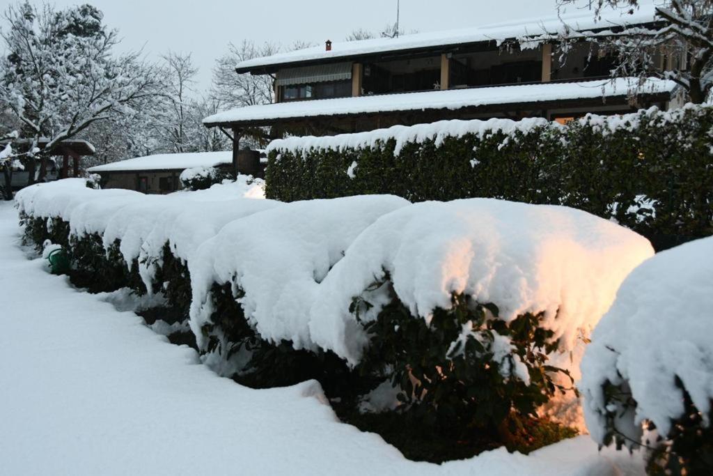 Bilocale In The Farm- Malpensa-Lago Maggiore 瓦拉洛蓬比亚 外观 照片
