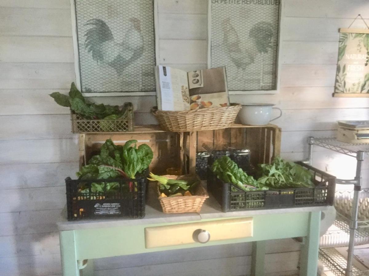 Bilocale In The Farm- Malpensa-Lago Maggiore 瓦拉洛蓬比亚 外观 照片