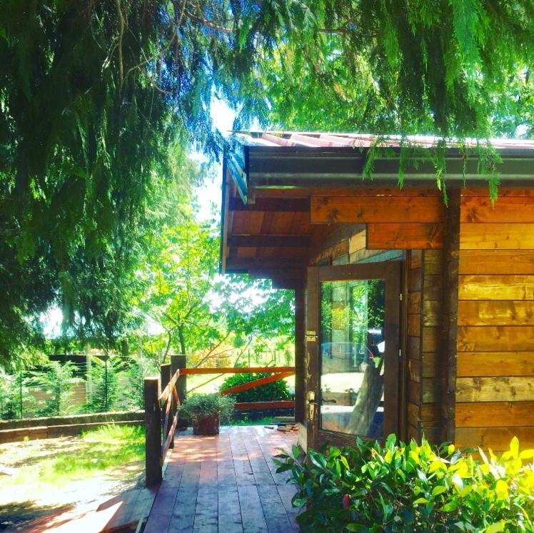 Bilocale In The Farm- Malpensa-Lago Maggiore 瓦拉洛蓬比亚 外观 照片