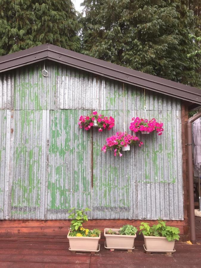 Bilocale In The Farm- Malpensa-Lago Maggiore 瓦拉洛蓬比亚 外观 照片