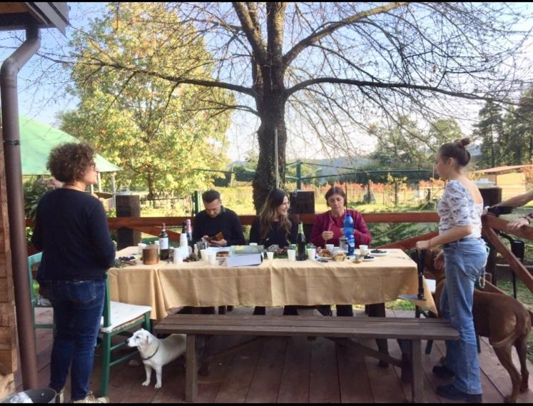 Bilocale In The Farm- Malpensa-Lago Maggiore 瓦拉洛蓬比亚 外观 照片