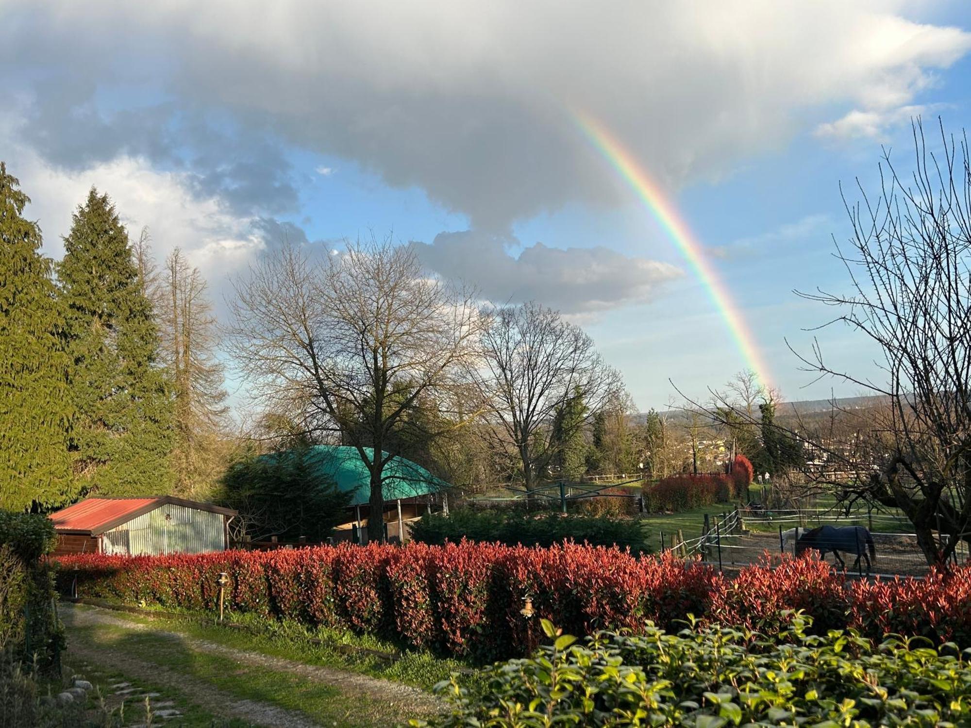 Bilocale In The Farm- Malpensa-Lago Maggiore 瓦拉洛蓬比亚 外观 照片